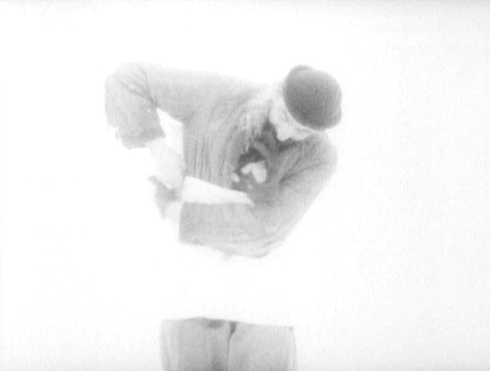 哺乳動物たちの画像