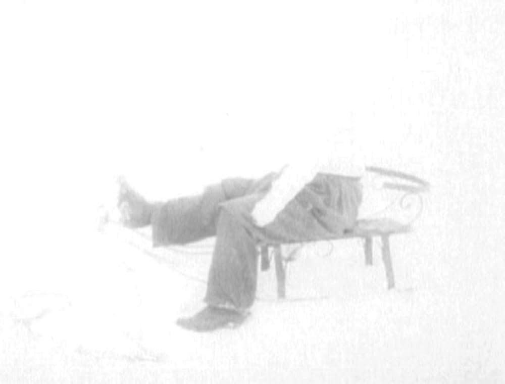 哺乳動物たちの画像