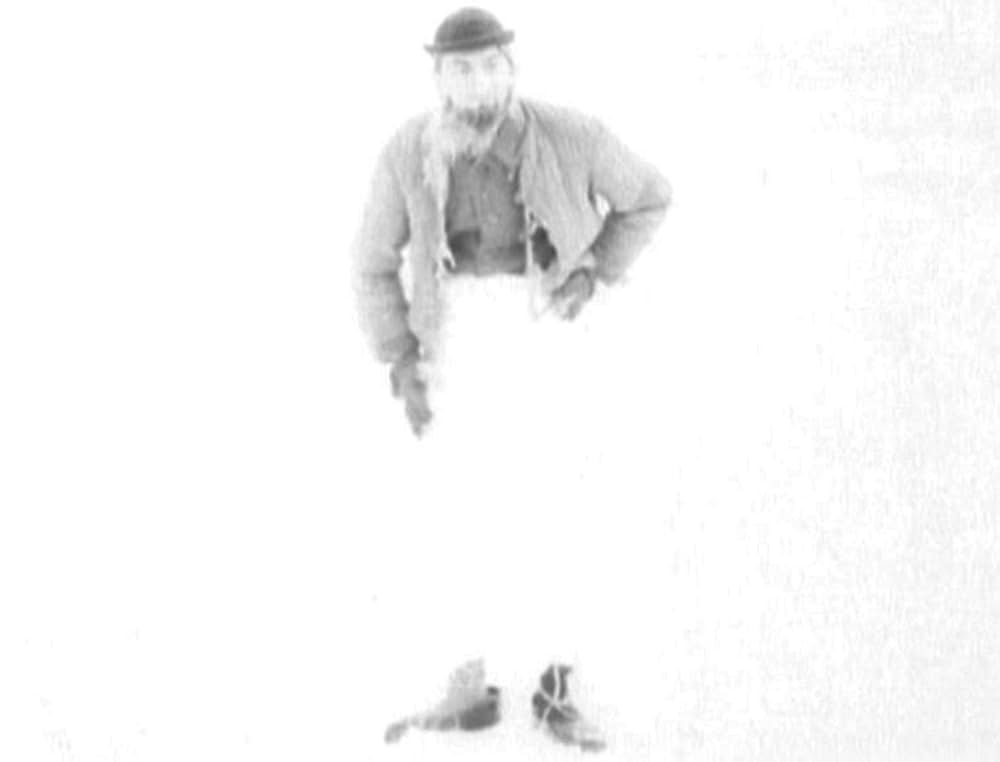 哺乳動物たちの画像