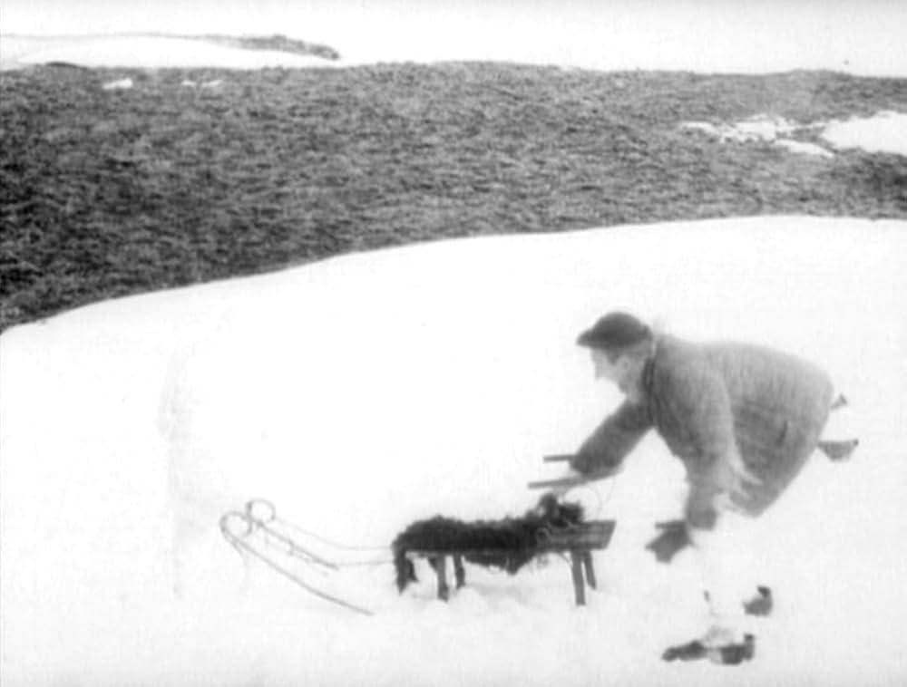 哺乳動物たちの画像