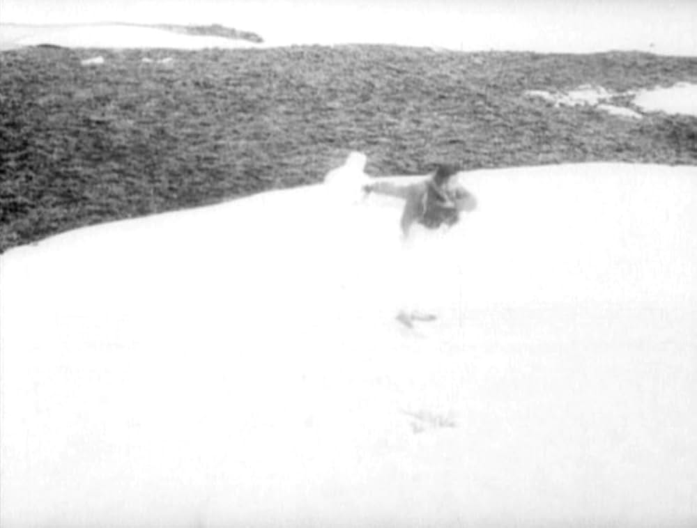 哺乳動物たちの画像