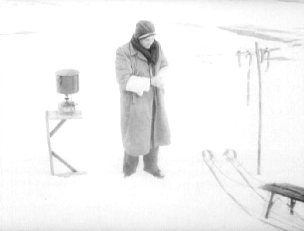 哺乳動物たちの写真