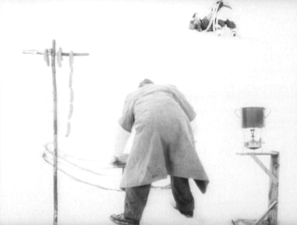 哺乳動物たちの画像