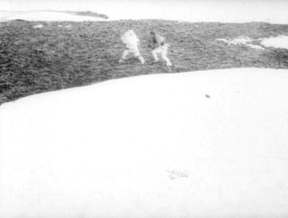 哺乳動物たちの画像