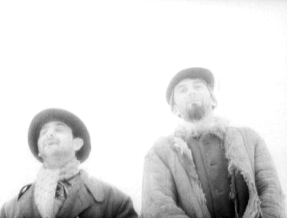 哺乳動物たちの画像