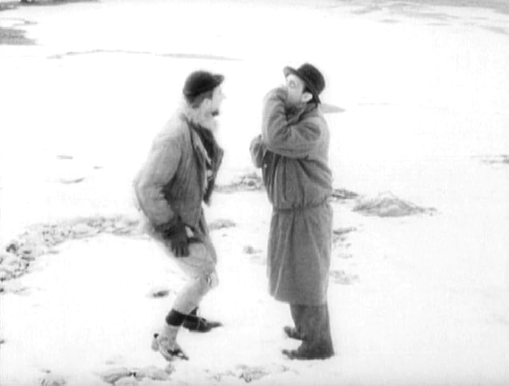 哺乳動物たちの画像