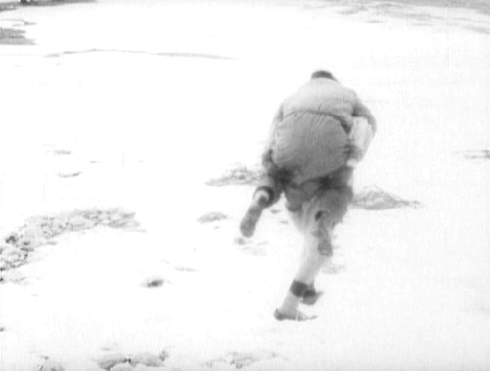 哺乳動物たちの画像