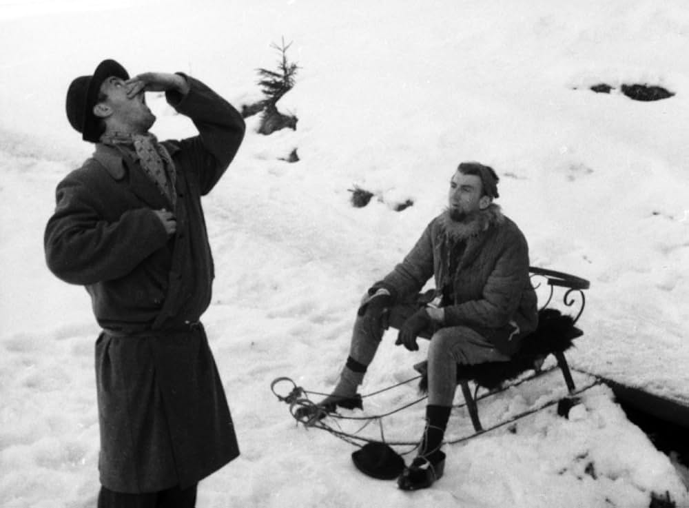 哺乳動物たちの画像