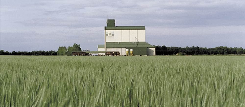 狼とアーロン少年の画像