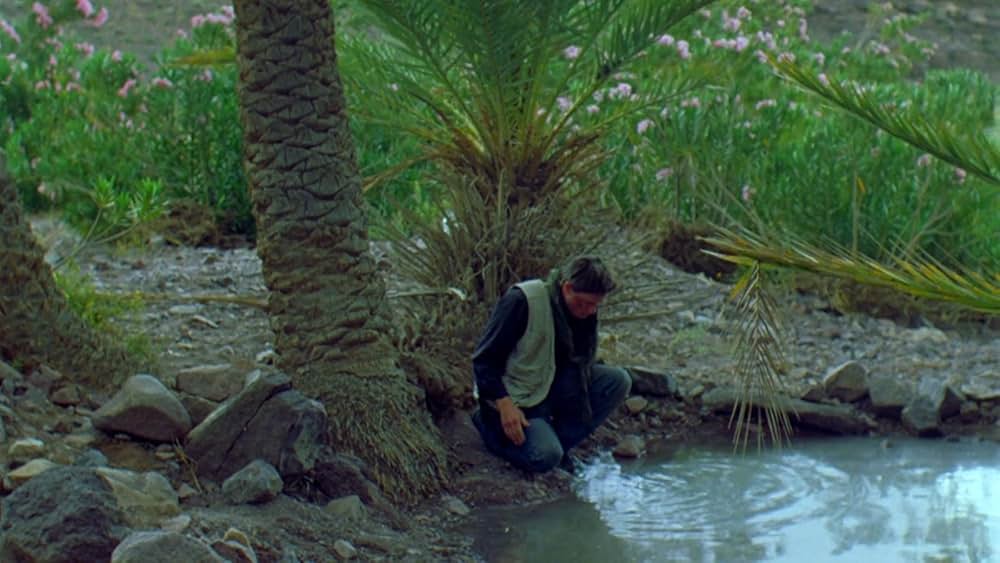 オブジェクティブの画像