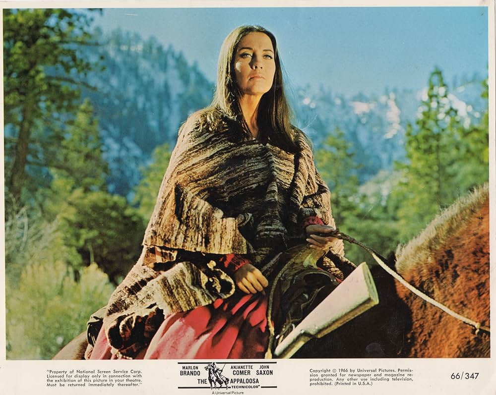 「シェラマドレの決斗」の画像