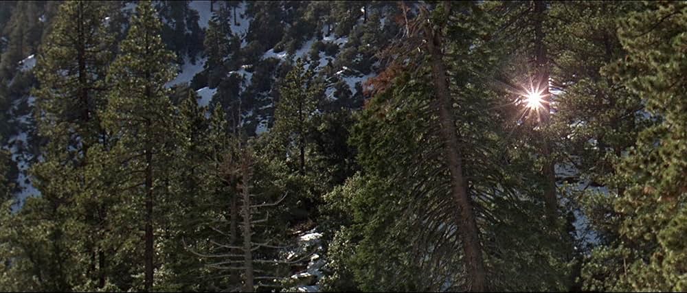 「シェラマドレの決斗」の画像