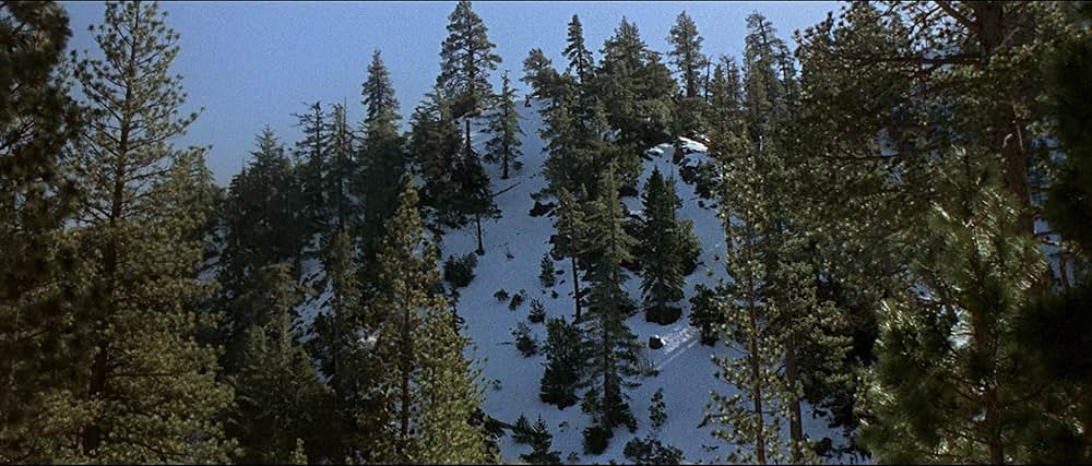 「シェラマドレの決斗」の画像