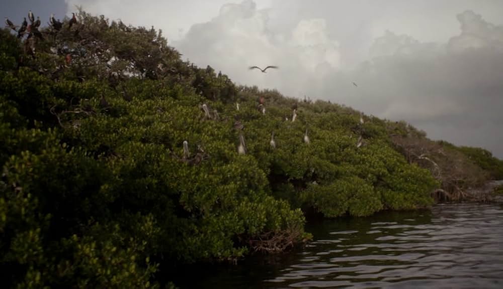 ケイト・プレイズ・クリスティーンの画像