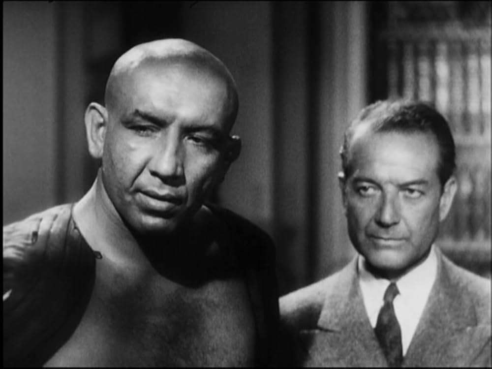 上海ジェスチャーの画像