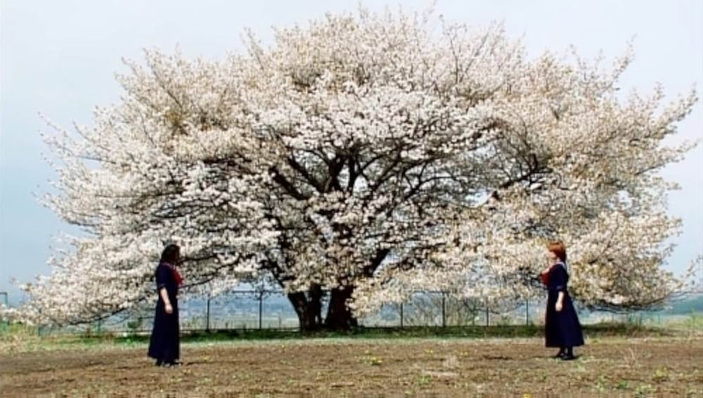 女子高生暴力教室の画像