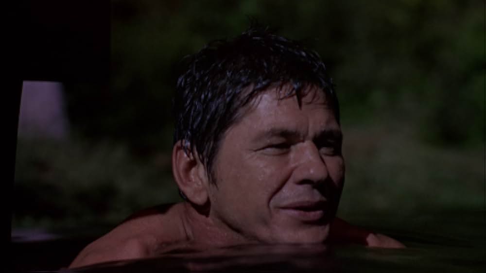 「雨のニューオリンズ」の画像