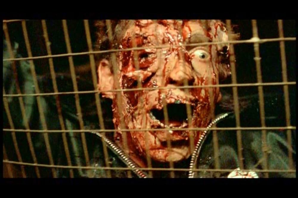 The Roost（原題）の写真