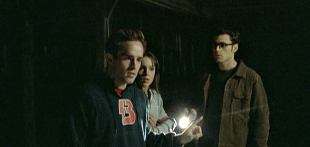 The Roost（原題）の画像