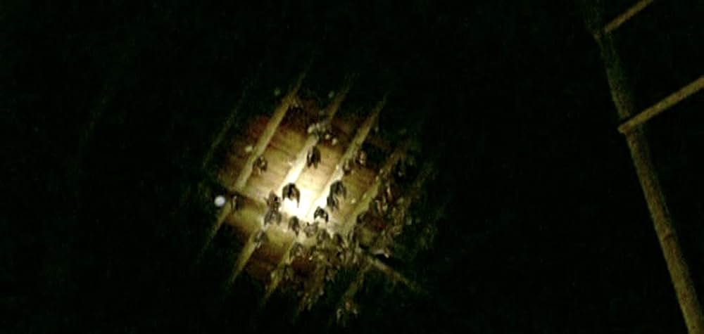 The Roost（原題）の画像