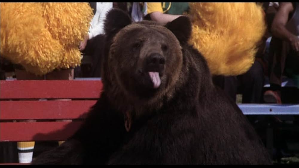 Tバック・アカデミーの画像