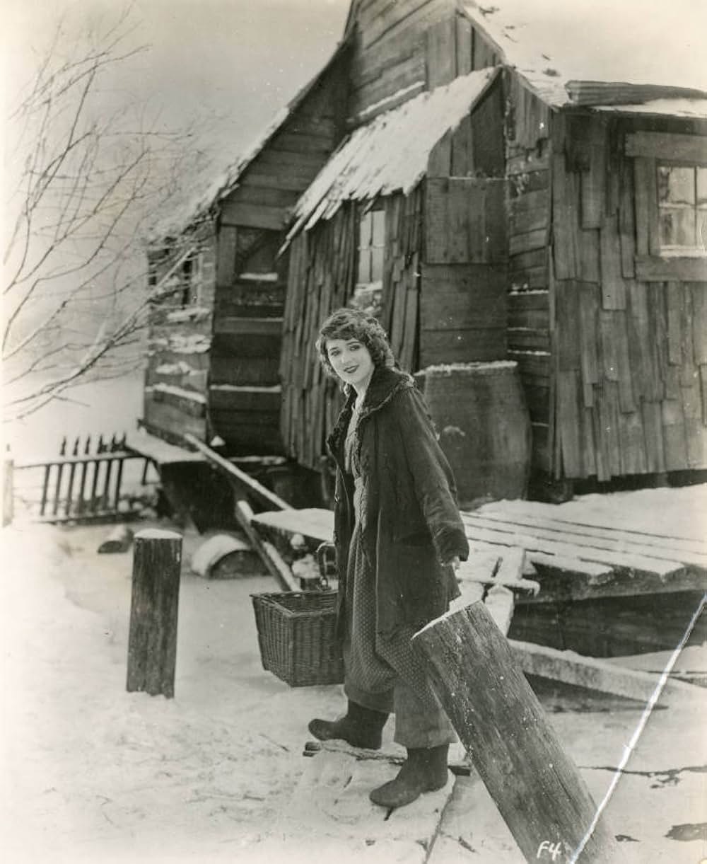 嵐の国のテスの画像