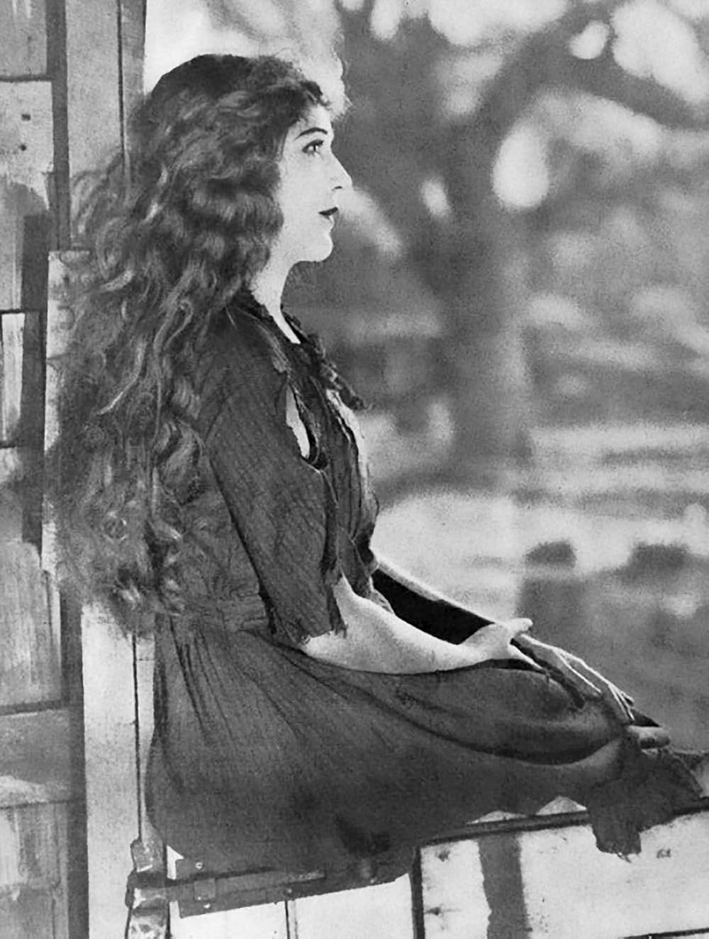 嵐の国のテスの画像