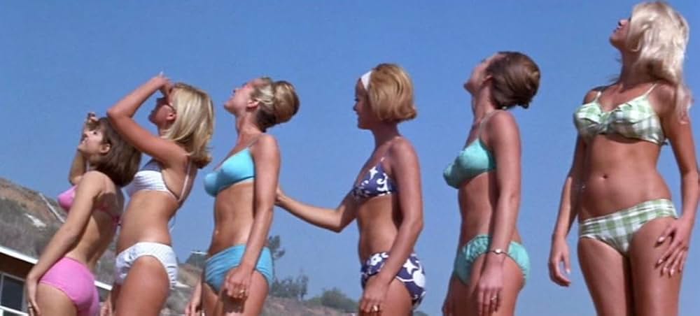 ビンゴ・パーティの画像