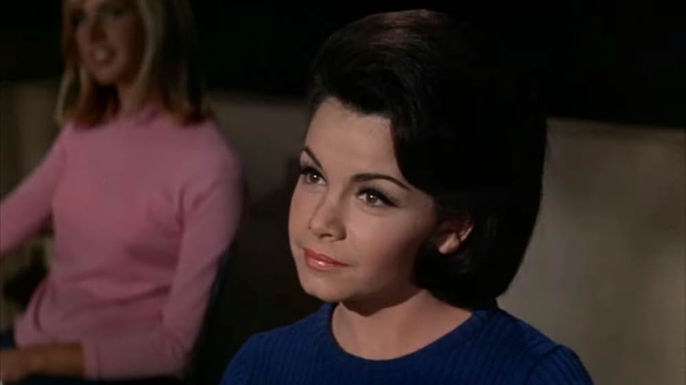 ビンゴ・パーティの画像