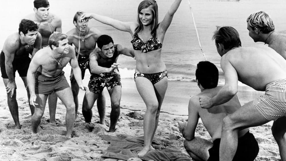 ビンゴ・パーティの画像