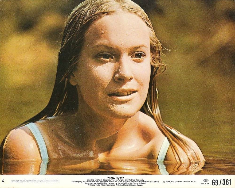 マイケル・ダグラス／ヒーローの写真