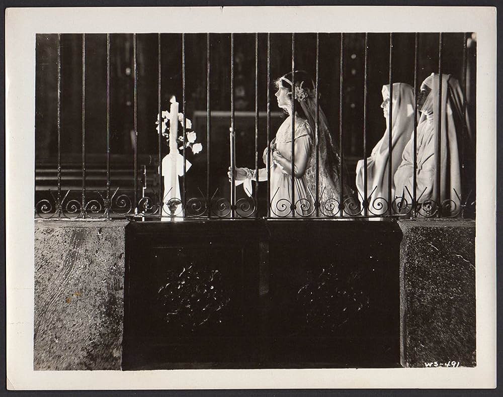 ホワイト・シスターの画像