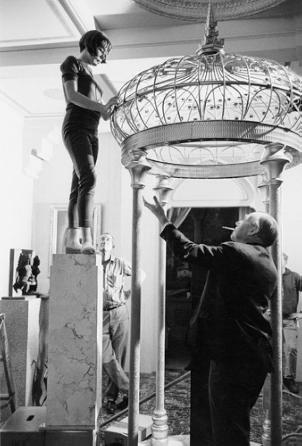 泥棒貴族の画像