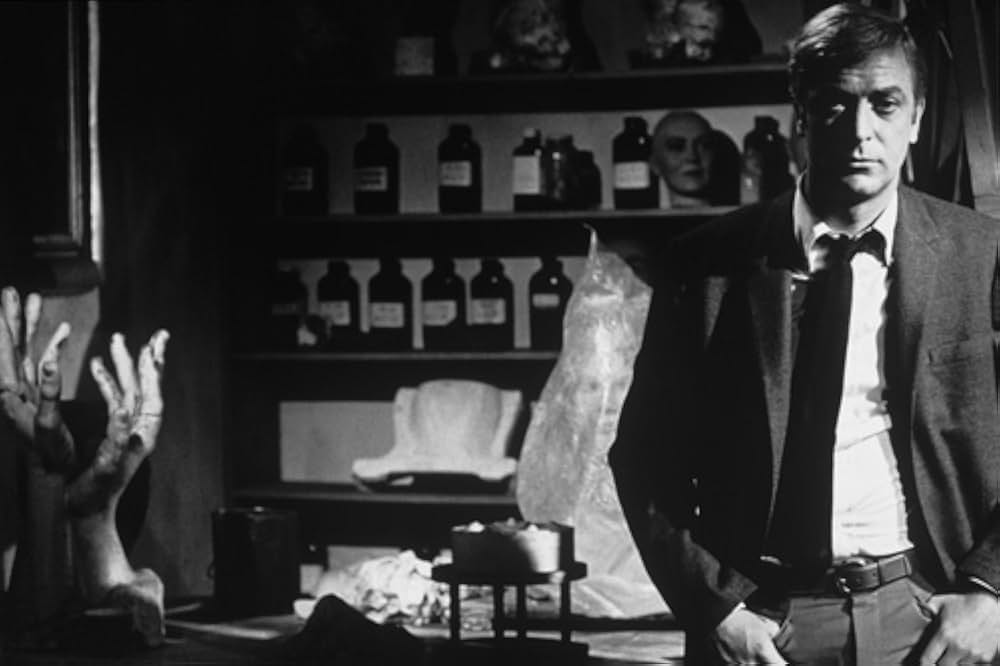 泥棒貴族の画像