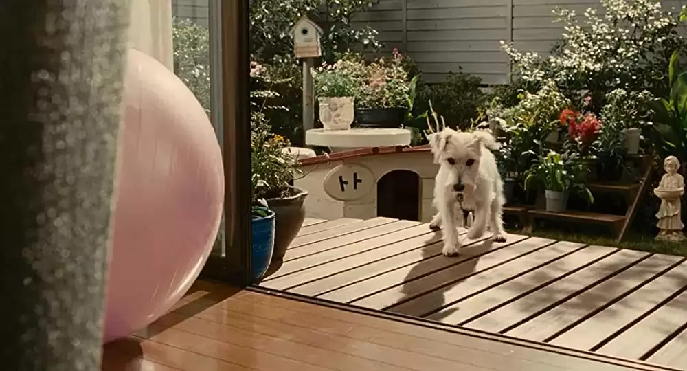 家族はつらいよの画像