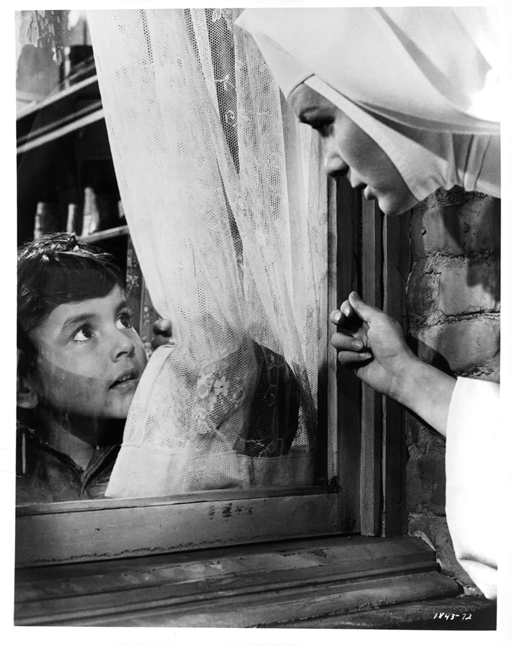 歌え！ドミニクの画像