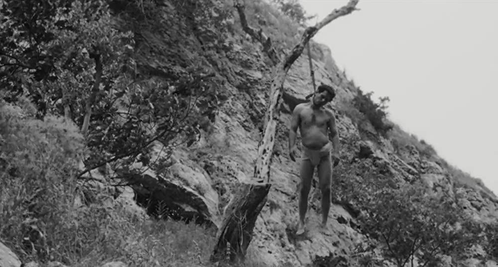 奇跡の丘の画像