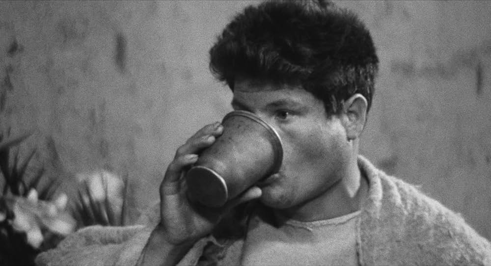 奇跡の丘の画像