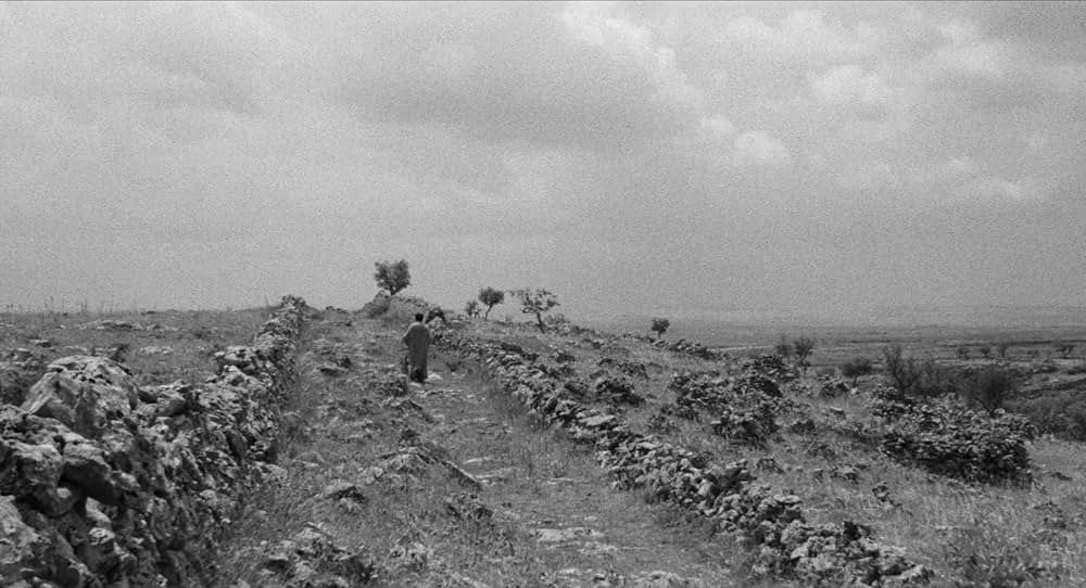 奇跡の丘の画像