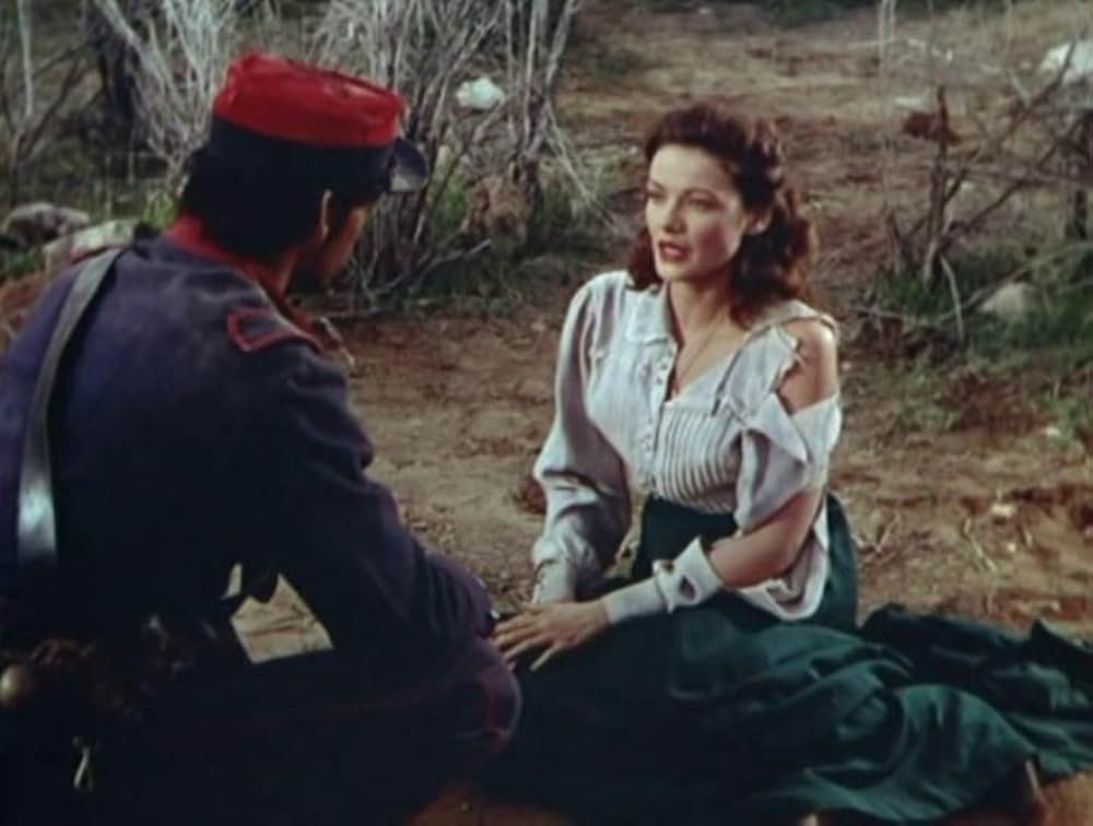 草原の追跡の画像