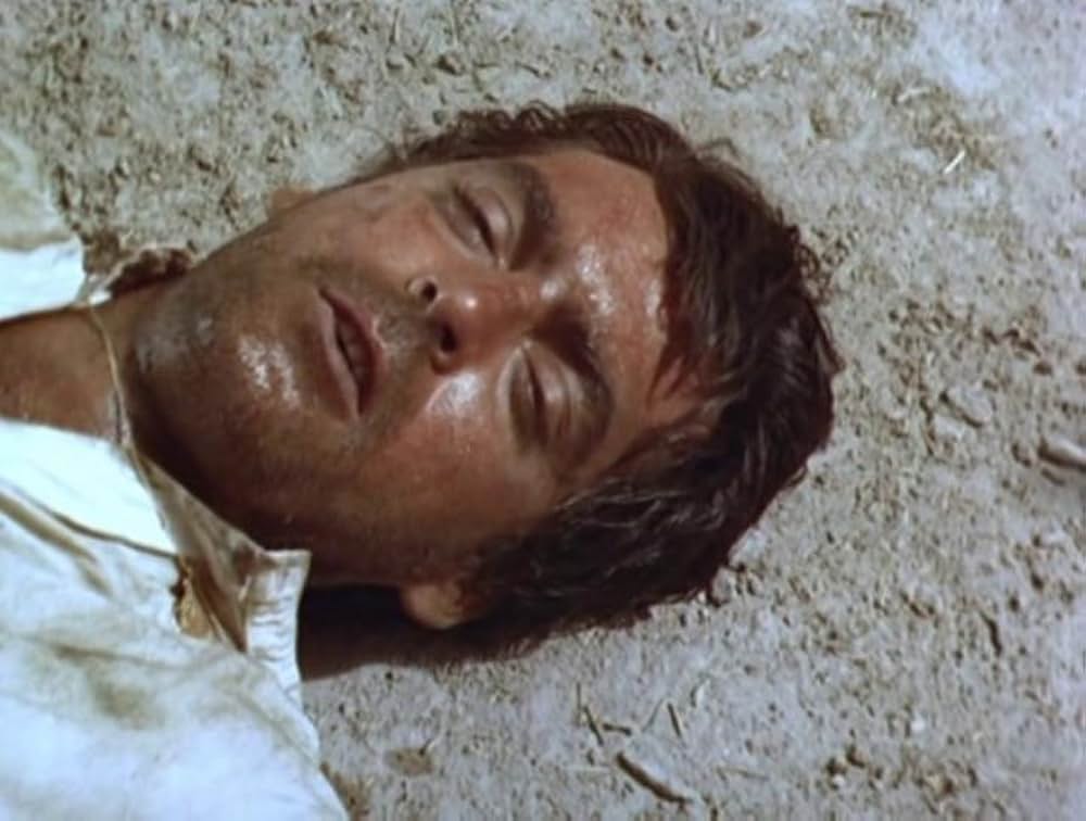 草原の追跡の画像