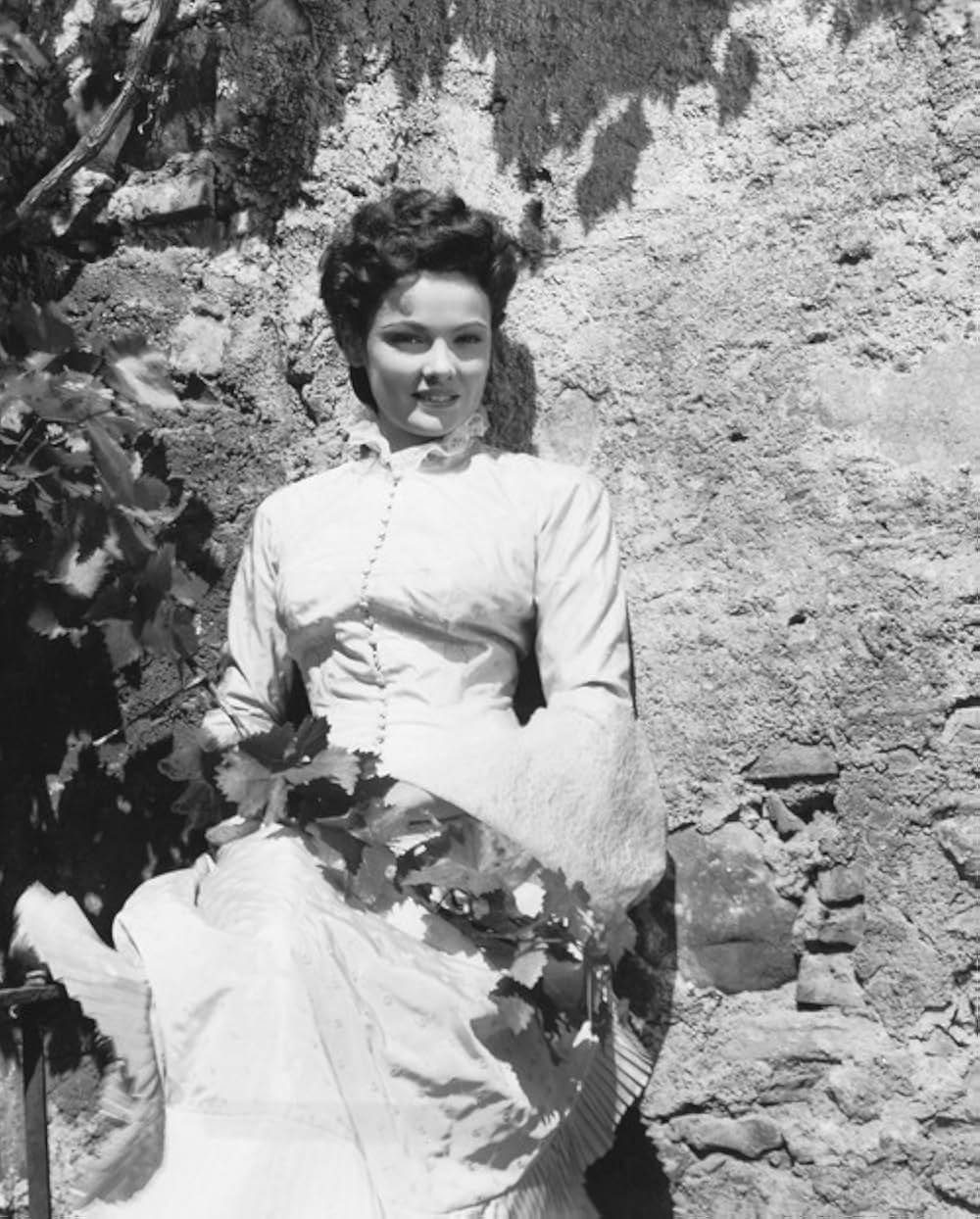 草原の追跡の画像