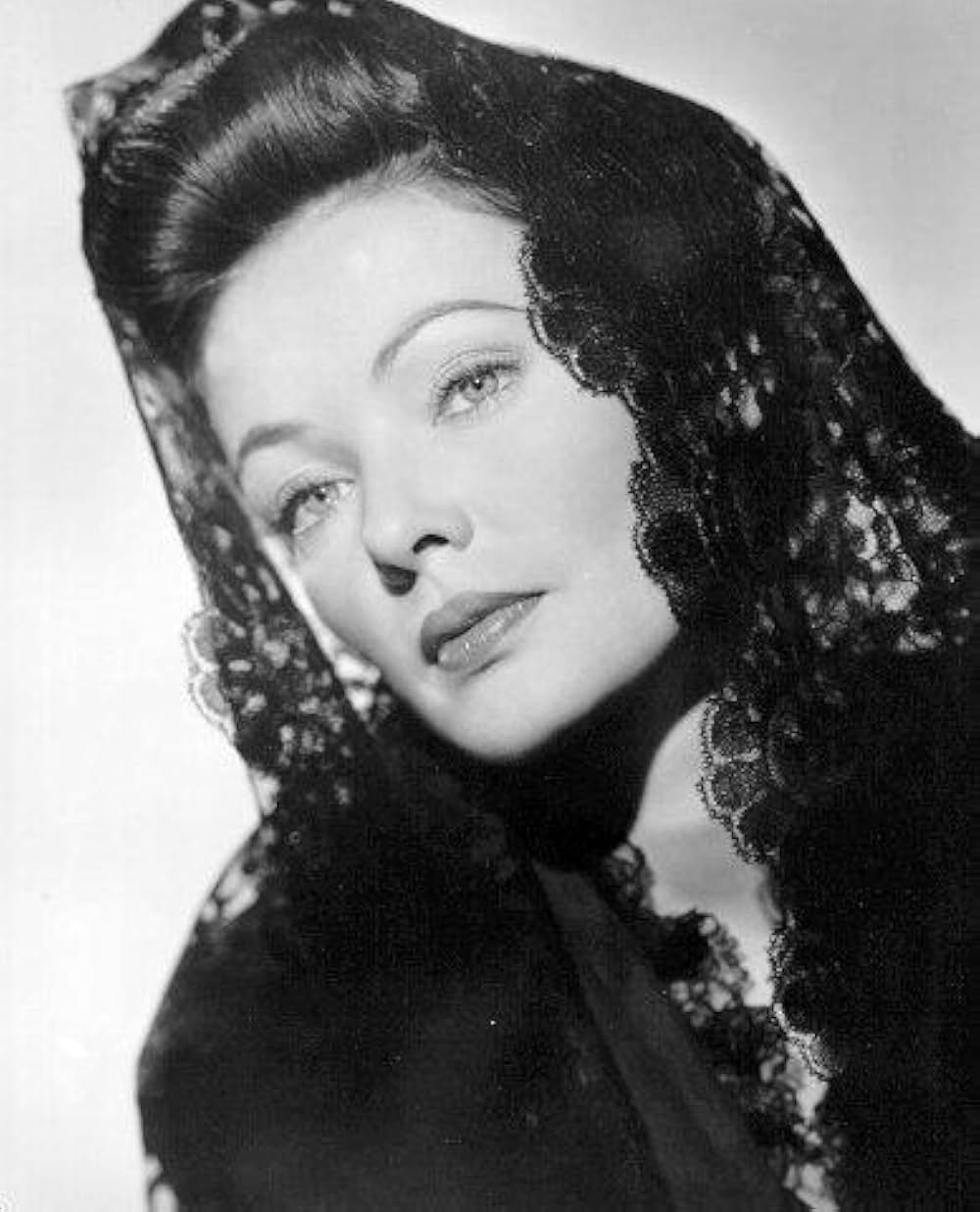 草原の追跡の画像