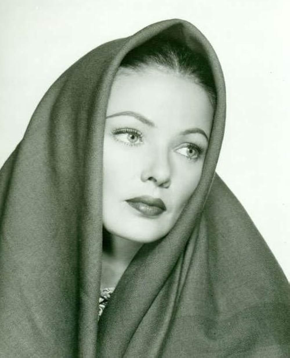 草原の追跡の画像