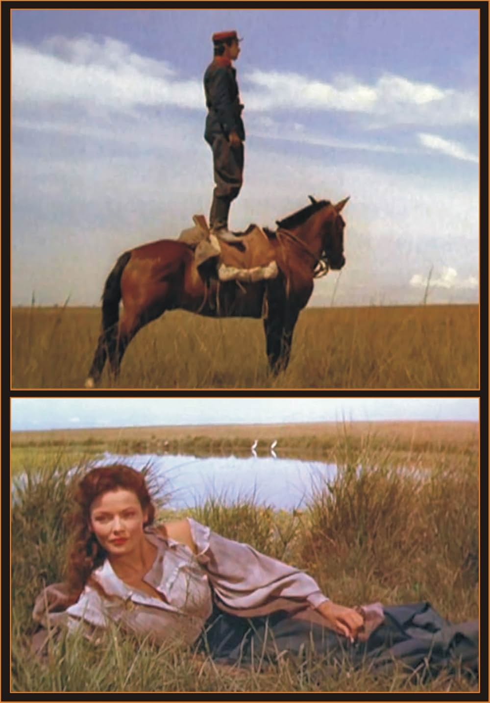 草原の追跡の画像