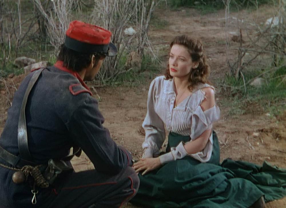 草原の追跡の画像