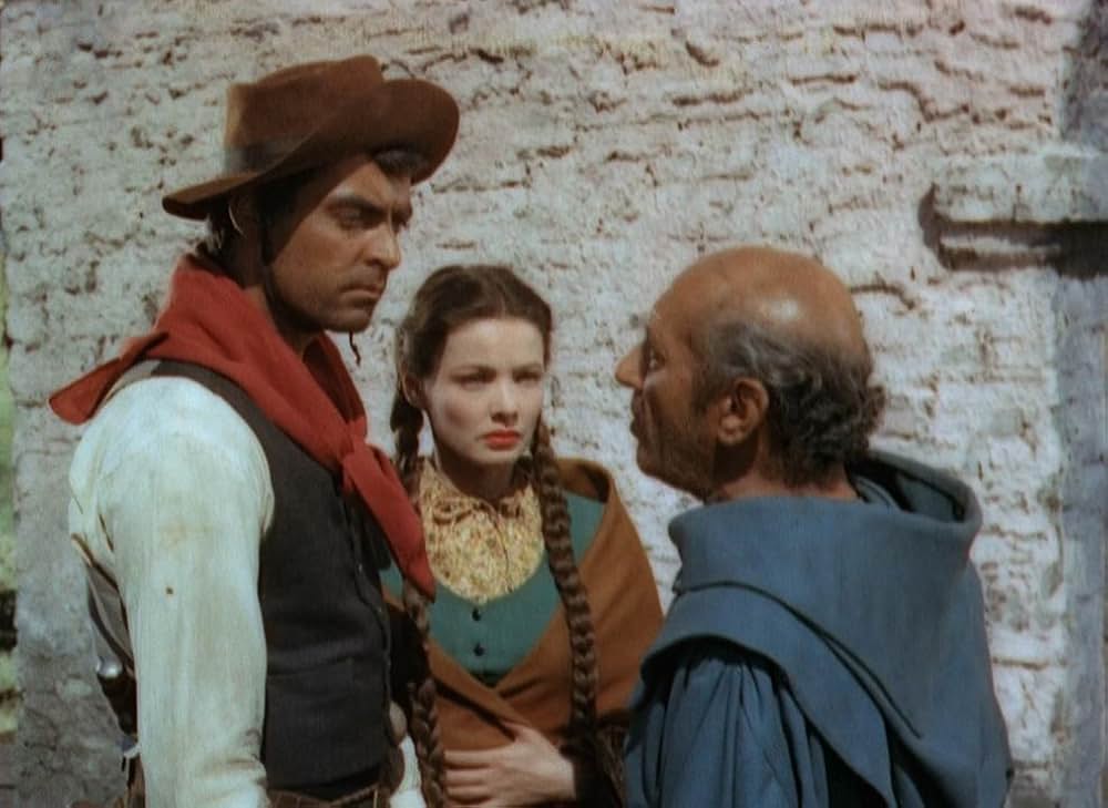 草原の追跡の画像