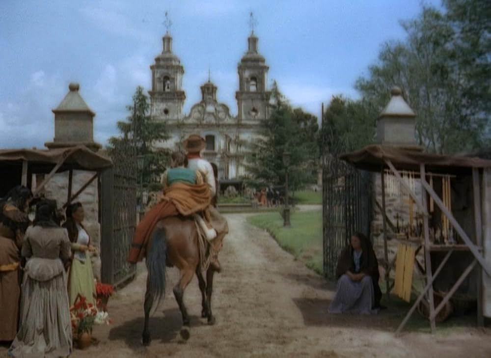 草原の追跡の画像