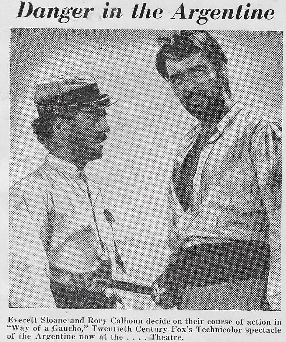 草原の追跡の画像