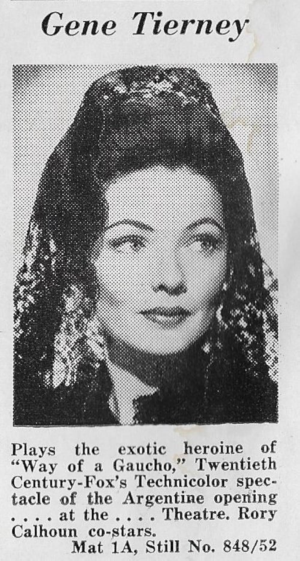 草原の追跡の画像